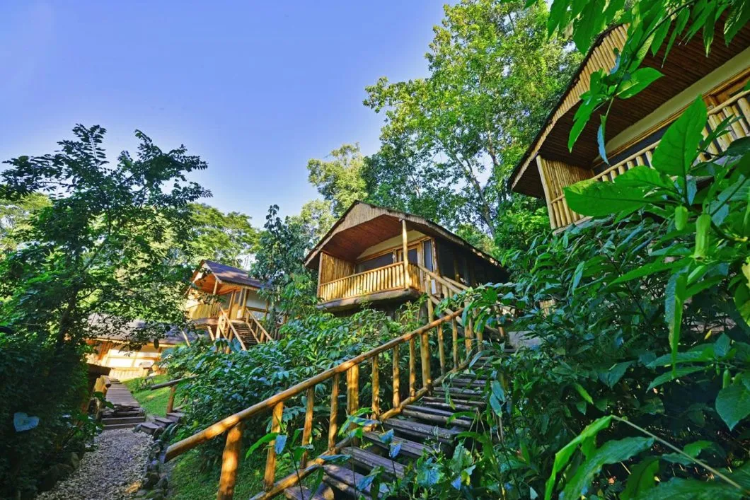 Virunga lodge
